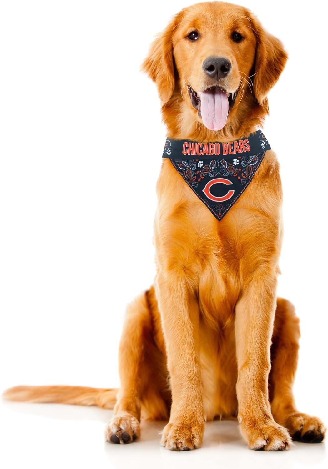 Littlearth NFL Pet Bandana - Reversible