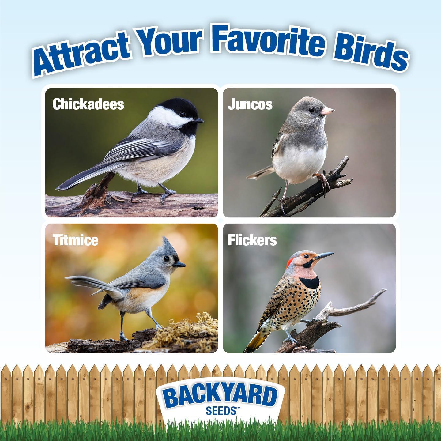 CountryMax Sunflower Chips Medium Sized Shelled No Waste Bird Seed