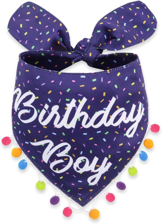 LunaMarie - Luxury Pet Birthday Bandanas -Premium & Silky Poly Fabric | 100% Handmade | Custom Shape Dual Layered (Birthday Boy, X-Small)