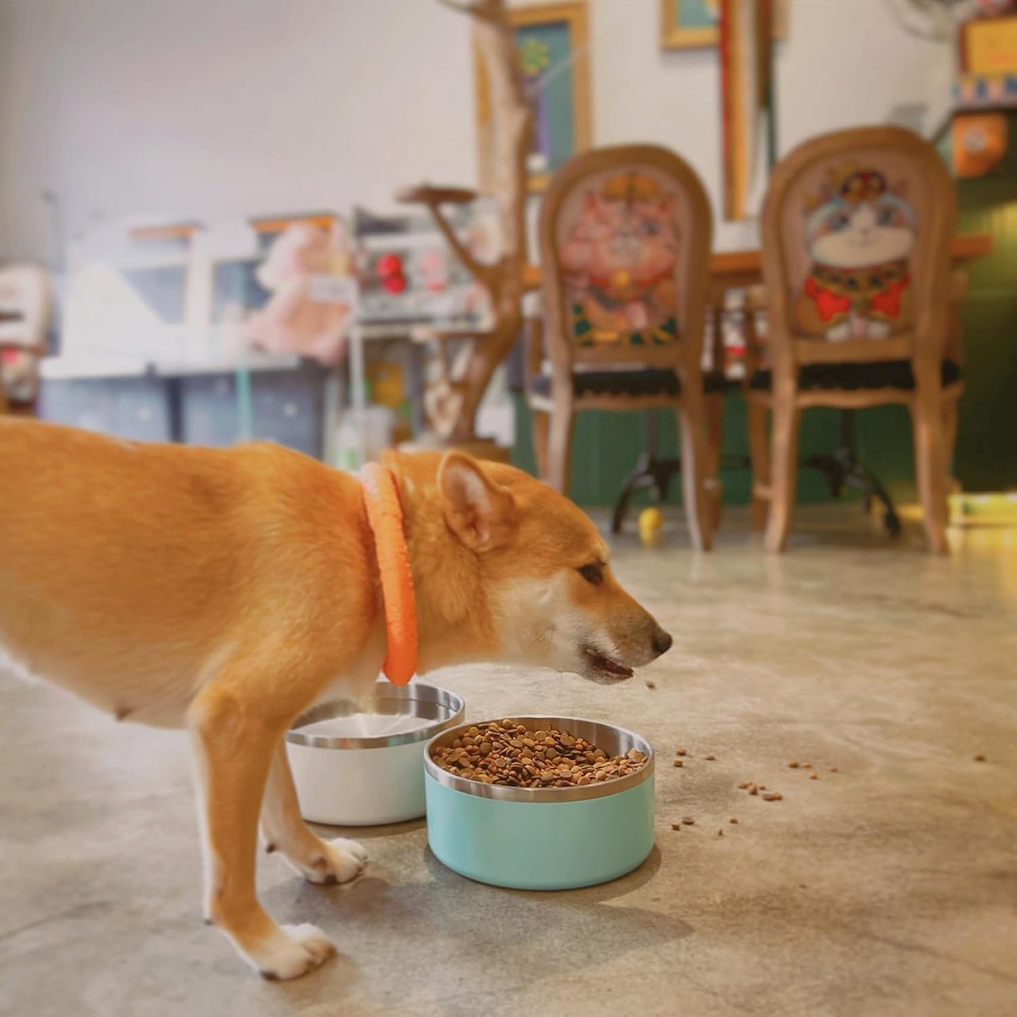 IKITCHEN Dog Bowl for Food and Water, 40 Oz Stainless Steel Pet Feeding Bowl, Durable Non-Skid Double Wall Insulated Heavy Duty with Rubber Bottom for Medium Large Dogs (40 Ounces/5 Cup, MintGreen)