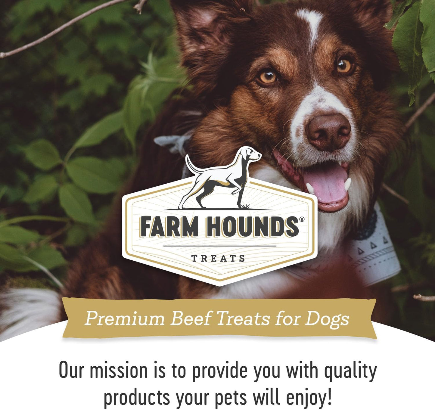Farm Hounds - Beef Heart - Premium Natural Beef Heart Jerky for Dogs - Made from 100% Humanely Raised Cattle - Organ Treat - Great for Training & Treats - No Added Fillers - Made in USA - 4oz -2 Pack