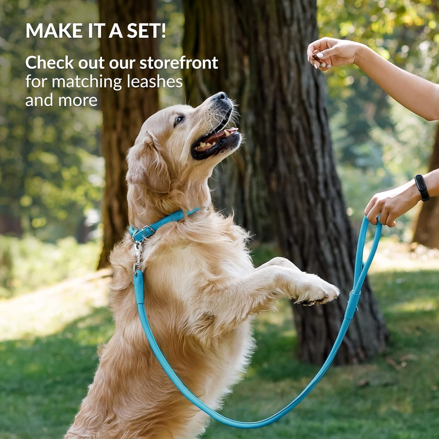 CollarDirect Rolled Leather Dog Collar, Soft Padded Round Puppy Collar, Handmade Genuine Leather Collar Dog Small Large Cat Collars 13 Colors (13-16 Inch, Light Blue)