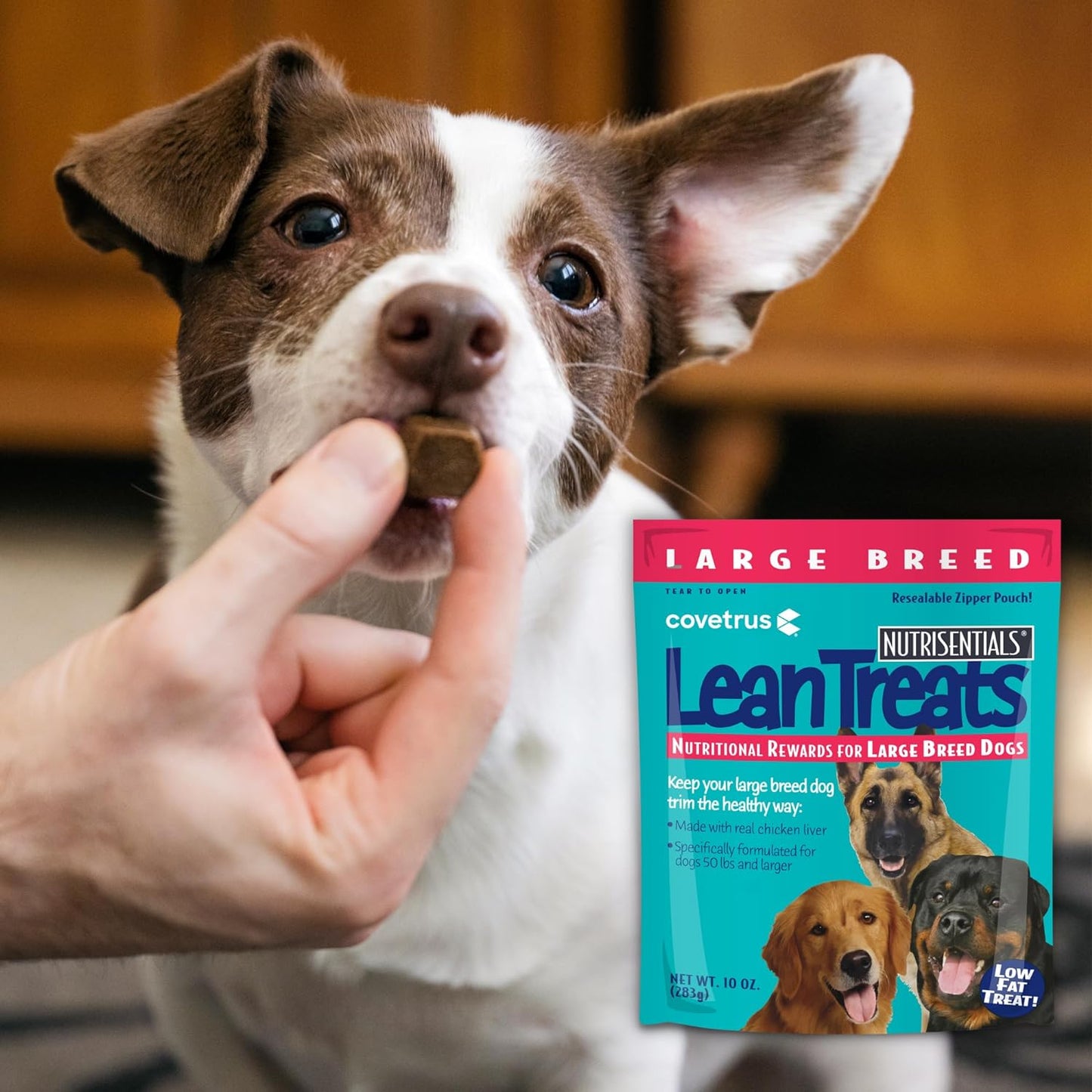 Covetrus Nutrisential Lean Treats for Large Dogs - Soft Dog Treats for Large Dogs - Nutritional Low Fat Bite Size - Chicken Flavor - 10oz