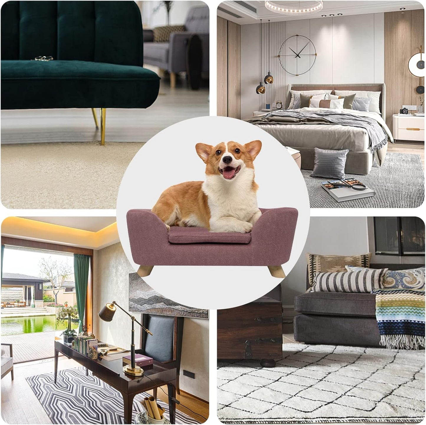 SHAVI Pet Sofa Dog Couch for Small Pet Dog and Cats, Low Back Lounging Bed with Velvet Modern Cat Couch Easy-to-Clean(Pink)