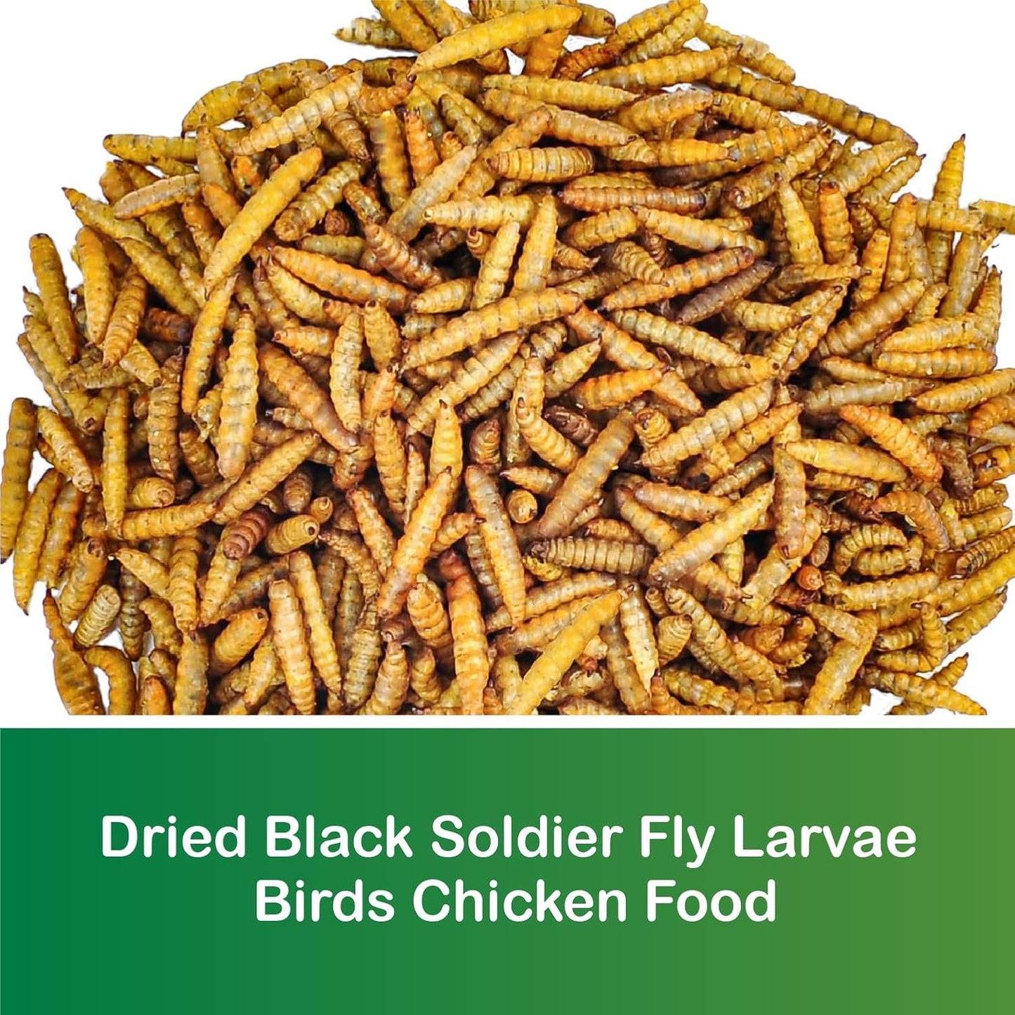Ecoproento Dried Black Soldier Fly Larvae 2LB - High Calcium Chicken Feed - 85X More Calcium, High Protein Non-GMO Mealworms for Wild Birds, Ducks, Turkeys, Quails, Turtles, Chickens Treats