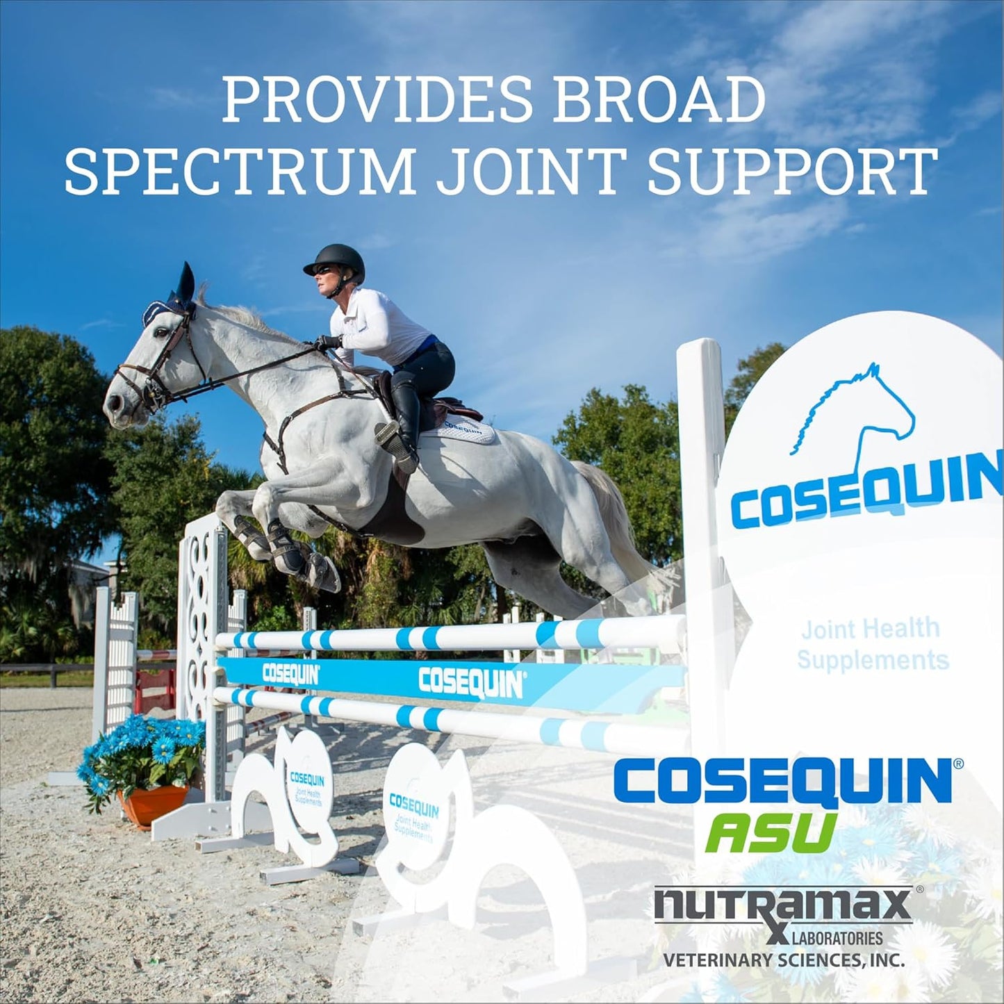 Nutramax Cosequin ASU Joint Health Supplement for Horses - Powder with Glucosamine, Chondroitin, ASU, and MSM, 500 Grams