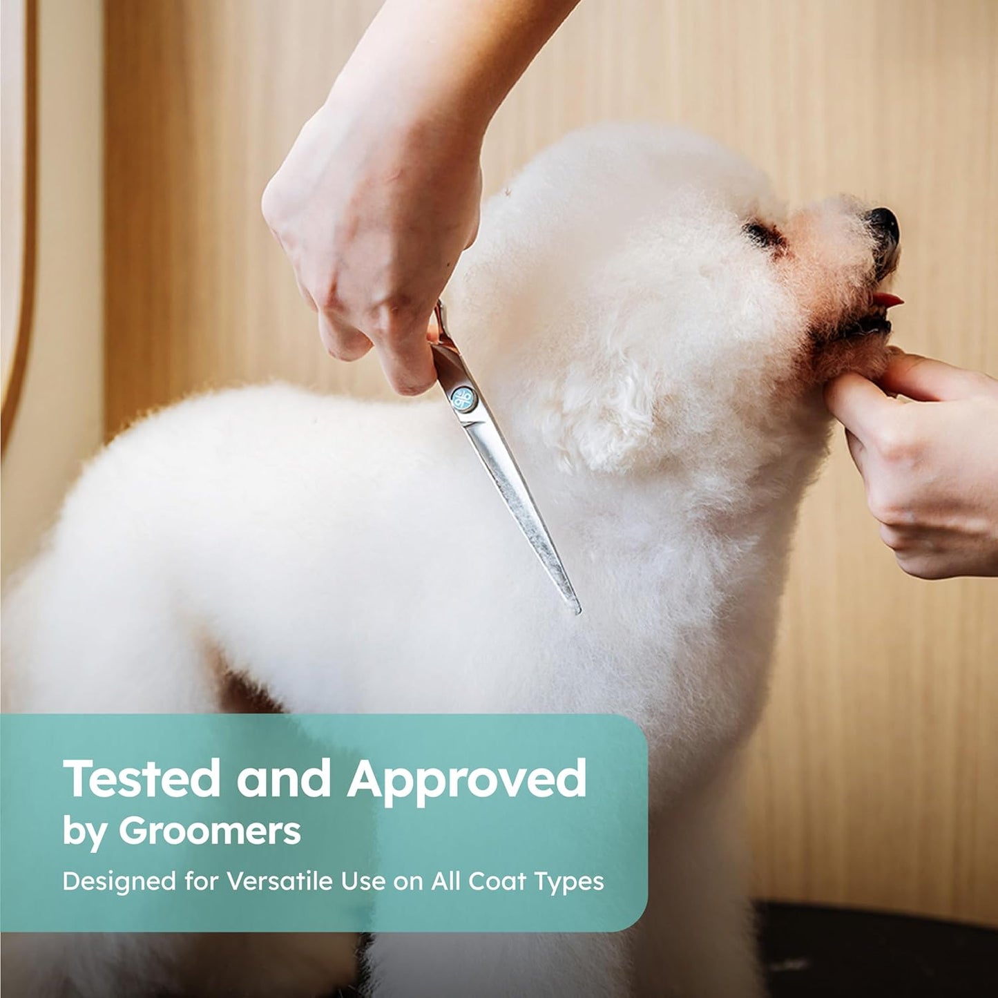 7” Curved Dog Grooming Scissors｜VG10 Japanese Steel Professional Pet Grooming Shears for Cats & Dogs｜Face, Paws, Ears & Tail Precision Trimming｜Lightweight Ergonomic Handcrafted Design｜K9 Shears