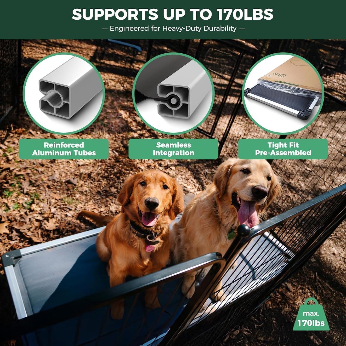 FXW TitanNest Chew-Proof Elevated Dog Bed, Raised Cot for Indoor/Outdoor/Camping Use, Durable & Washable Padded Pet Bed for Small Dogs, 35.0" L x 22.0" W x 4.5" H, Gray