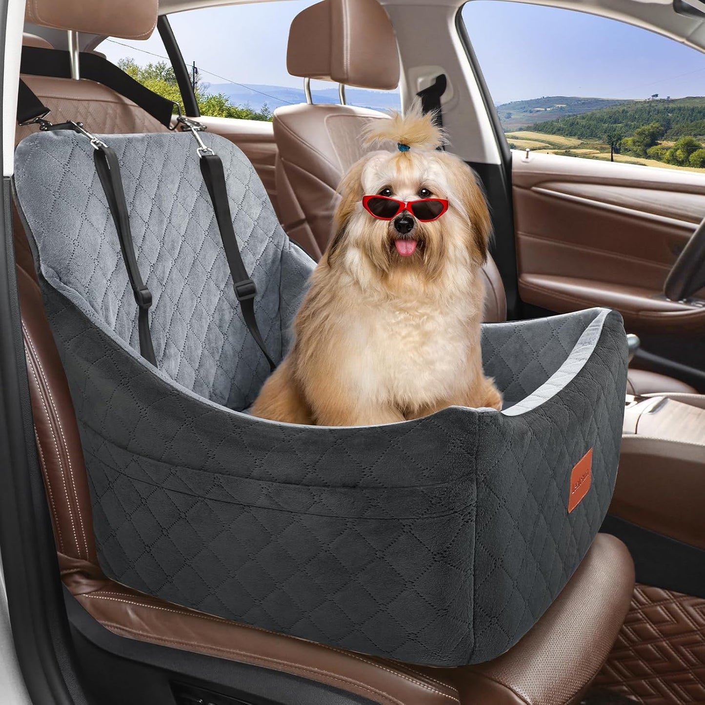 Dog Car Seat for Dogs Up to 35lbs,Fully Detachable and Washable,Memory Foam Covered Soft Fabric,Easy to Install with Adjustable Straps,Anti-Slip Bottom,Two Side Pockets(Black/Grey,Medium)