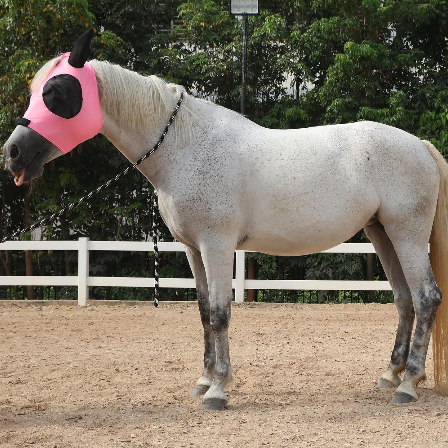 Horse Fly Mask with Ears - Large Eye Space for Full Vision, Breathable Stretch Comfort Fit, UV Protection, Forelock Opening, Easy Pull-On Pink Pony