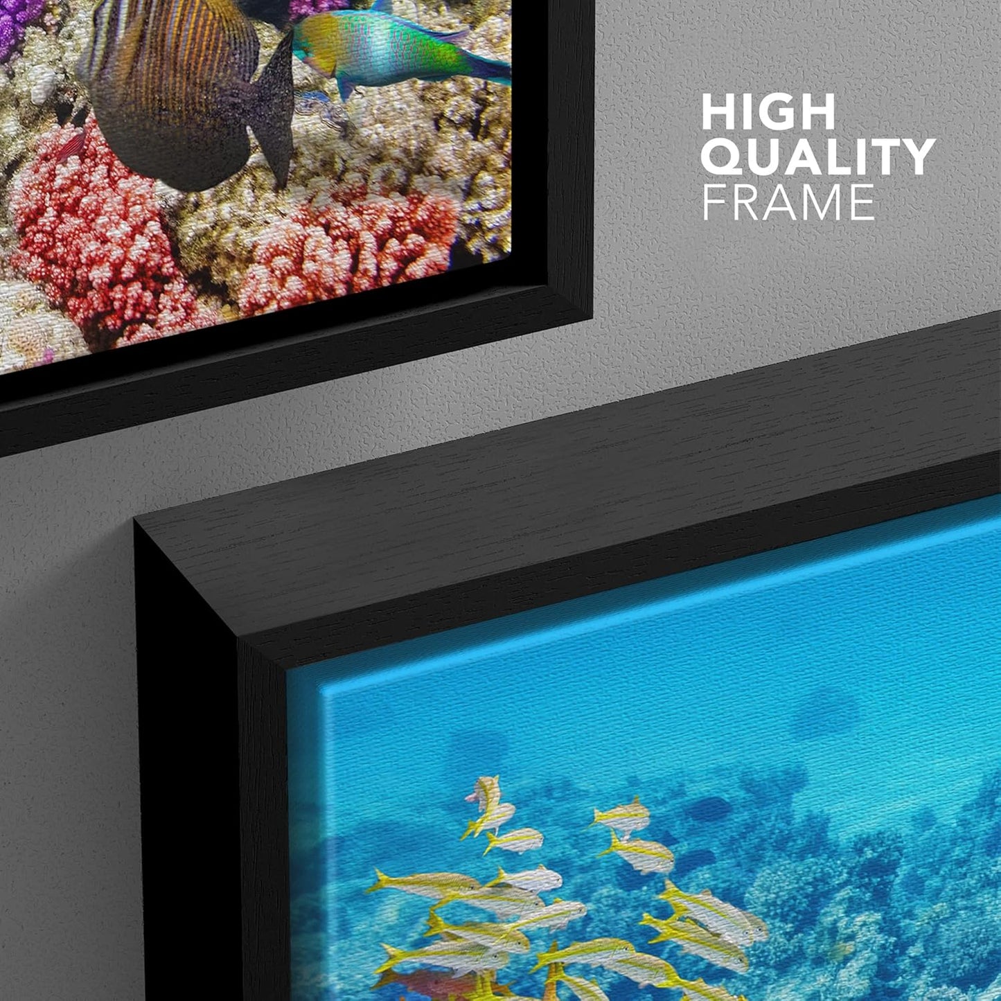 wall26 Framed Canvas Print Wall Art Tropical Underwater Ocean Sea Fish Reef Nature Animals Realism Rustic Scenic Landscape Wilderness Earth Colorful for Living Room, Bedroom, Office - 24"x36" Black