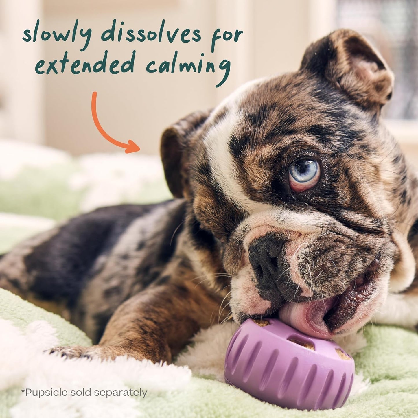 WOOF Calming - Double Pack - Extra Large