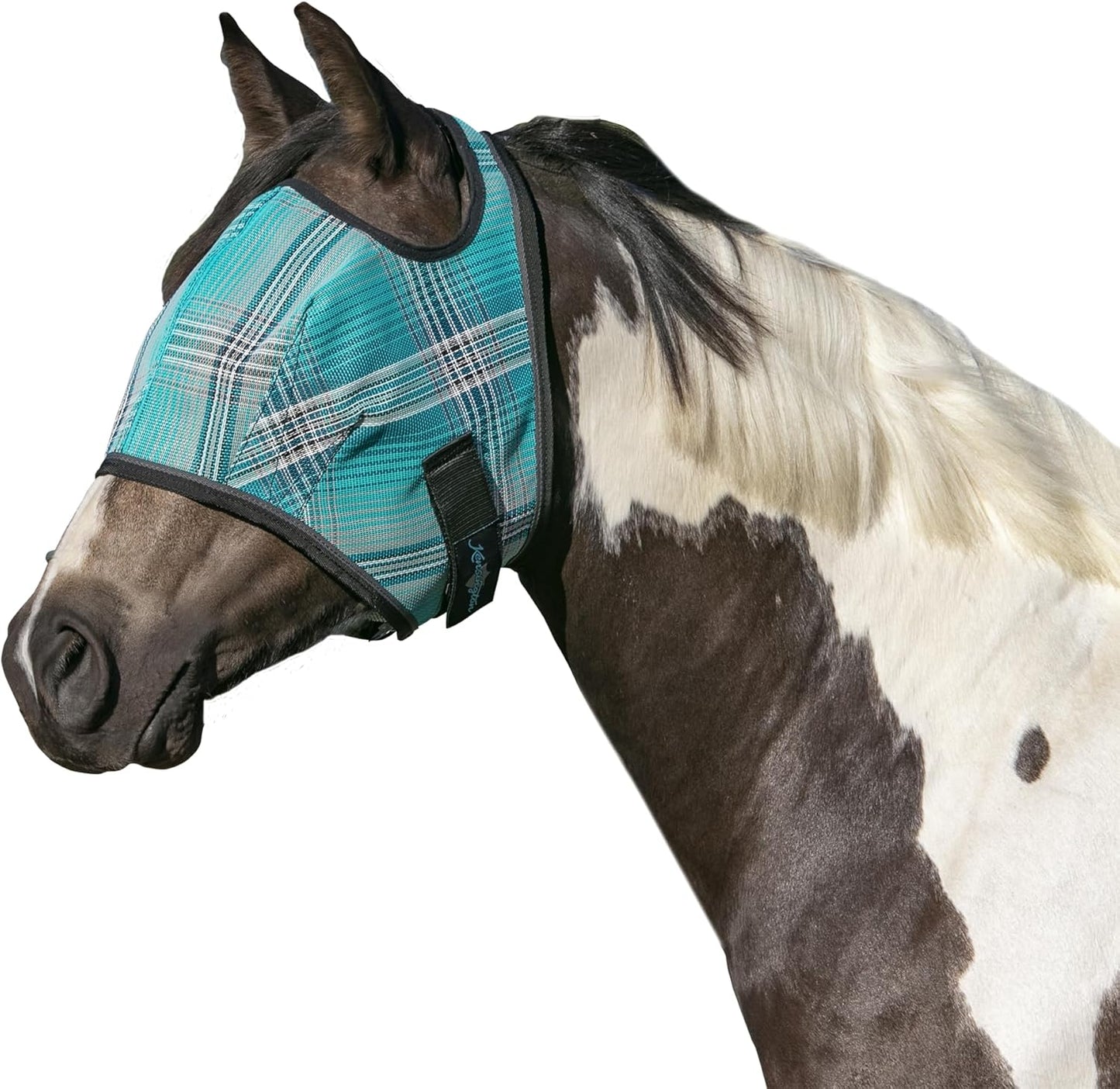 Kensington Fly Mask Web Trim Protects Horses Face and Eyes from Bites and Sun Rays While Allowing Full Visibility Ears and Forelock Able to Come Through The Mask, Medium, Atlantis