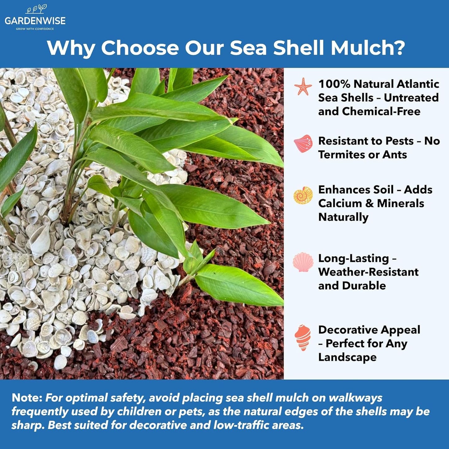 Natural Organic Sea Shell Mulch for Gardens and Landscaping – Decorative and Nutrient-Rich, 0.5–3-Inch Shells, Perfect for Indoor and Outdoor Use(1 CF - 28 L - 30 QTS)