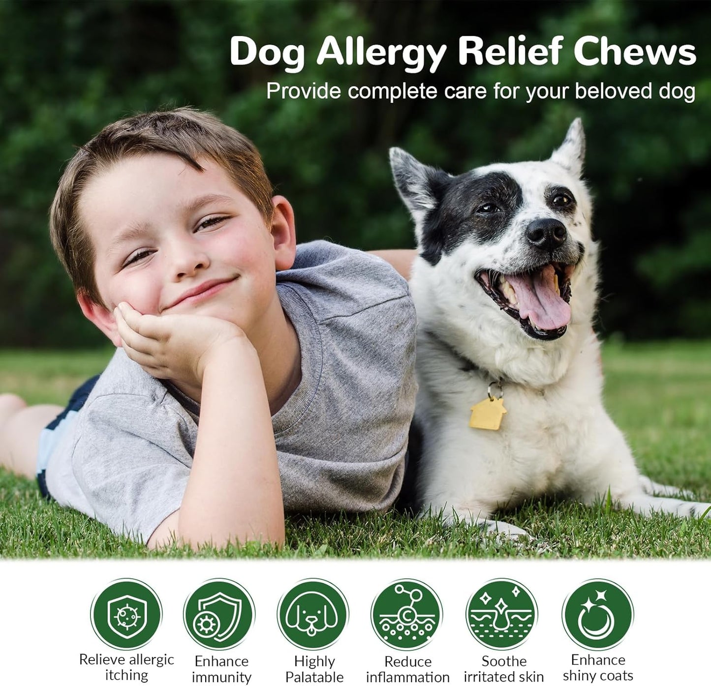 Dog Allergy Relief Chews, Dog Itch Relief Chews for Large Dogs Paw Licking Itchy Skin Seasonal Allergies, Probiotics with Astragalus Omega-3 for Coat Immune Supplement-150ct