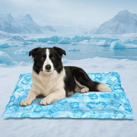 Cooling Pad for Dog,Instant Pet Cool Mat for Puppy,Comfortable Cool Pet Mat for Cat.Portable Dog Bed for Summer. Suitable for Outdoor Summer Crate Pad.Long Time Cooling.Ice Brick(Size-M 15.7*19.7in)