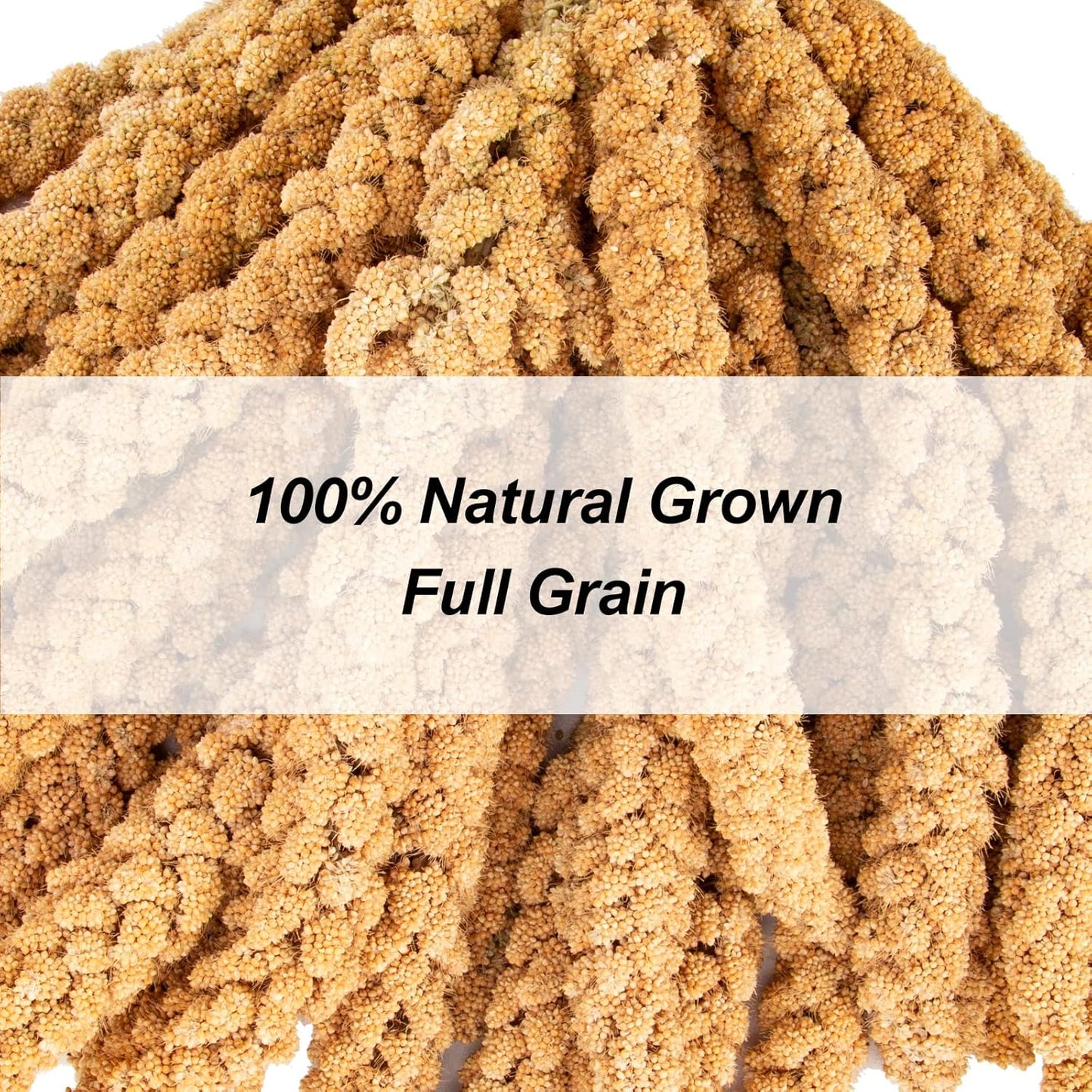 Amzey 5.5 LB Spray Millet for Parakeets, 100% Natural Dried Millet Grain for Birds, Non-GMO Bird Treat for Cockatiel, Finches, Parrots & Lovebirds