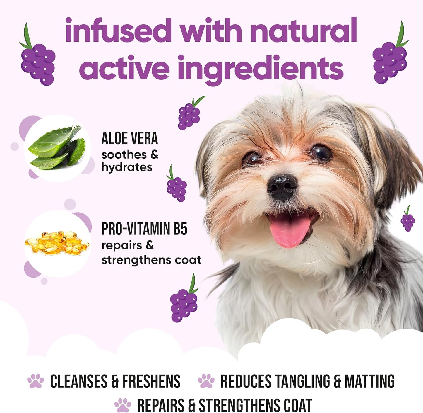 Grape Dog Shampoo by Buddycare | with Aloe Vera and Pro Vitamin B5 (50.72oz)