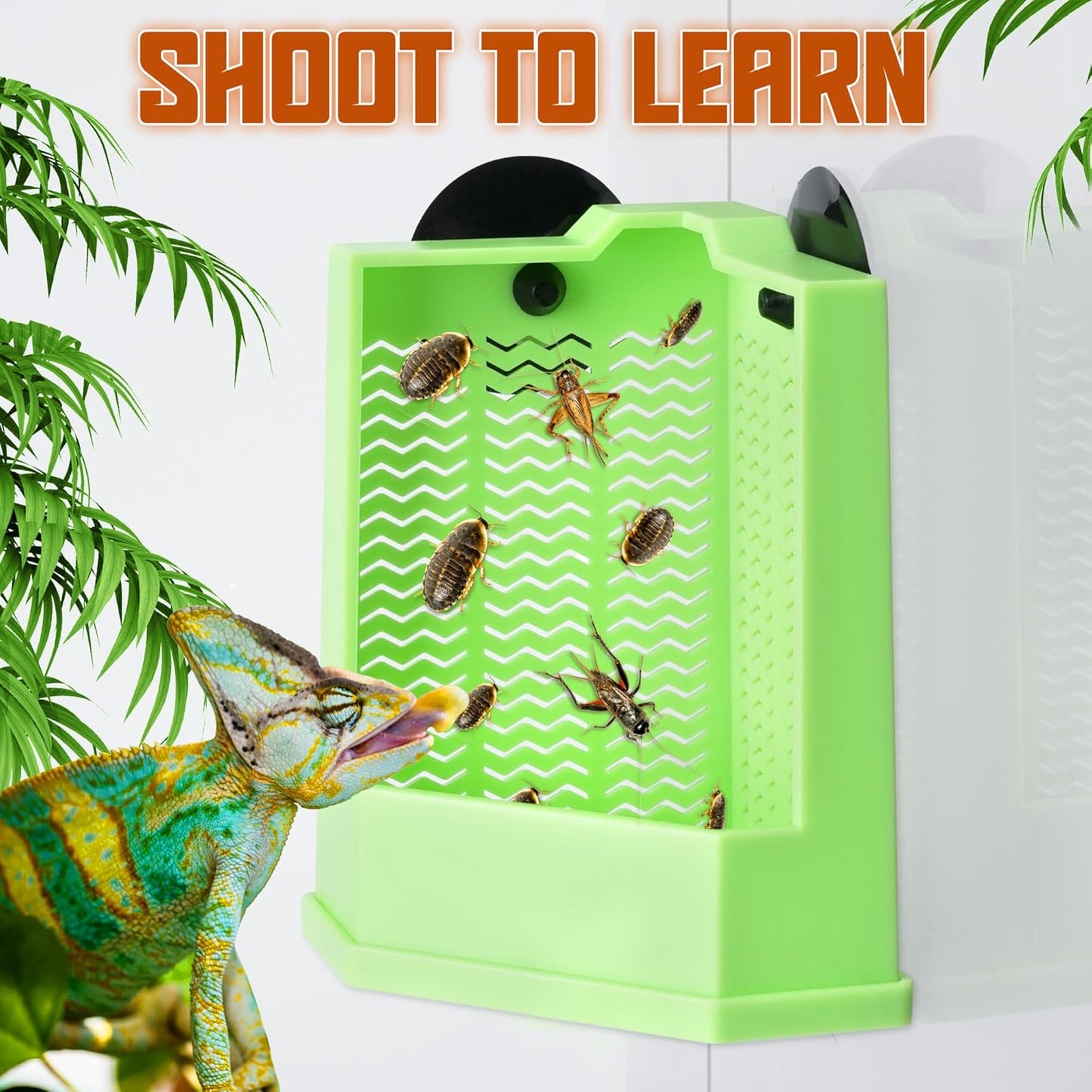 Reptile Corner Hunting Bowl - Glass Mount Insect Feeding Box for Reptile with Suction Cup which is Super Tight, Green, 4.72 inch - S Size