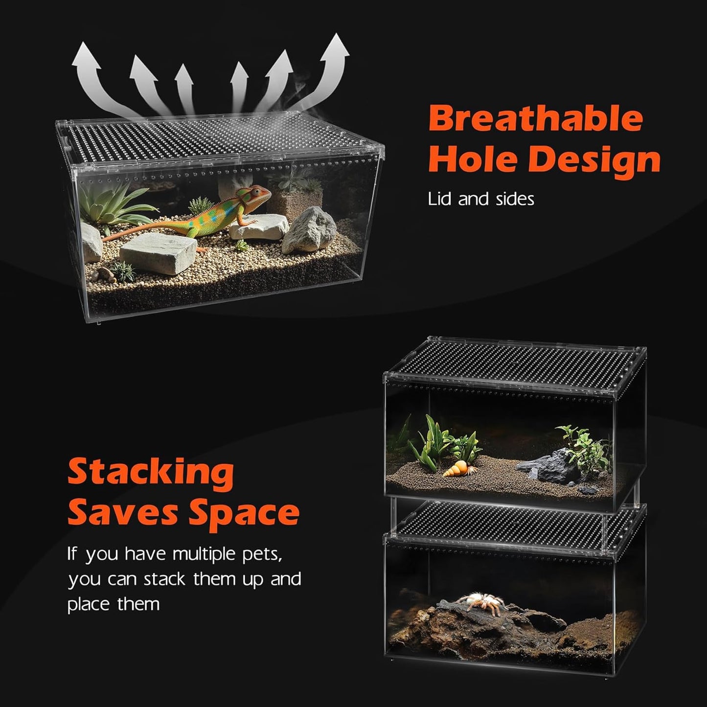 AZV Reptile Terrarium Tank,Versatile Enclosure for Leopard Crested Gecko,Lizard Cage,Spider Starter Kit,Hermit Crab Habitat,Tarantula Cribs,Perfect Aquarium for Snake,Frogs,Snails,Insects,Small Pets