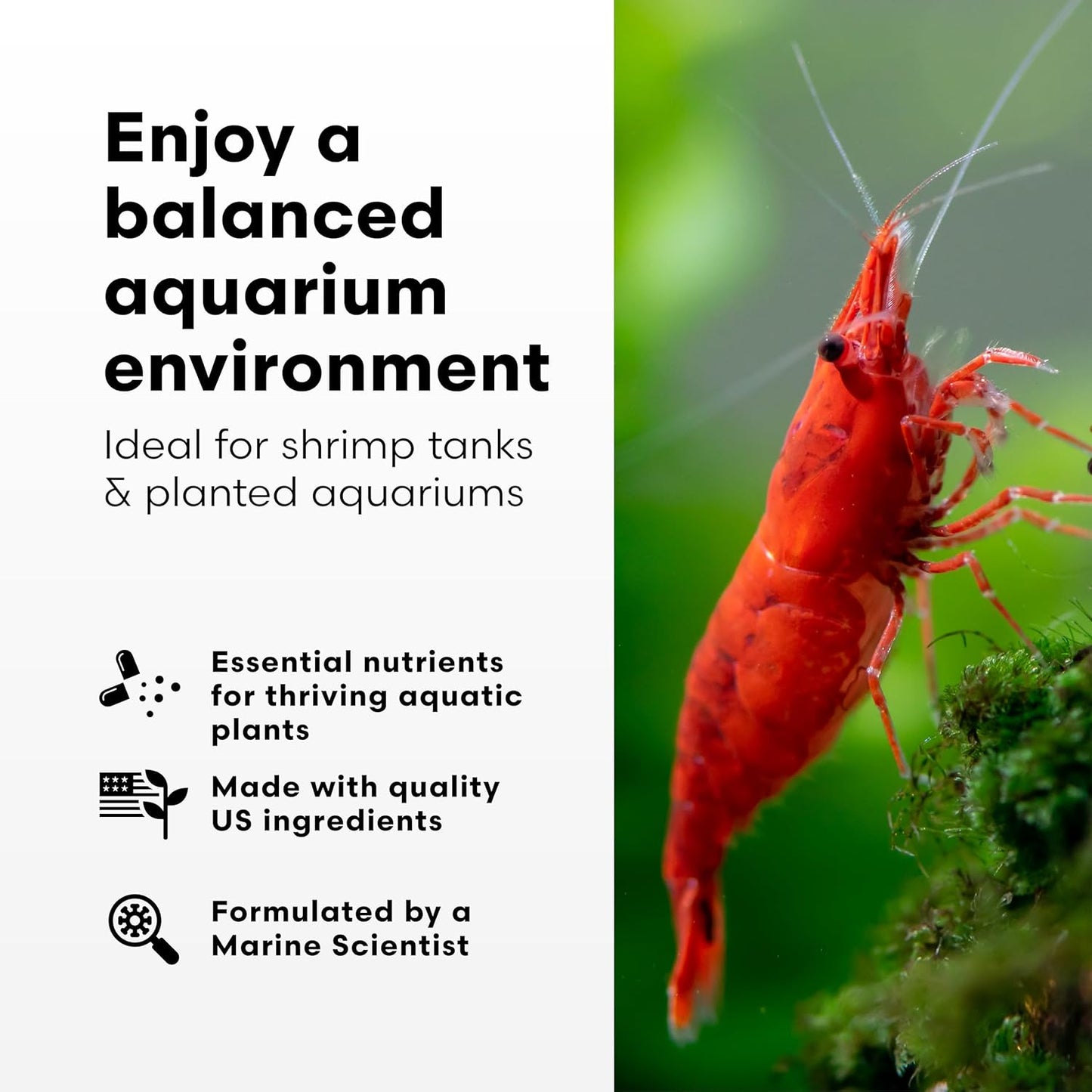 Brightwell Aquatics Shrimp FlorinMulti – Complete Plant Nutrient Supplement for Shrimp & Freshwater Aquariums – Supports Growth, Color & Health – Copper-Free, 250 ml