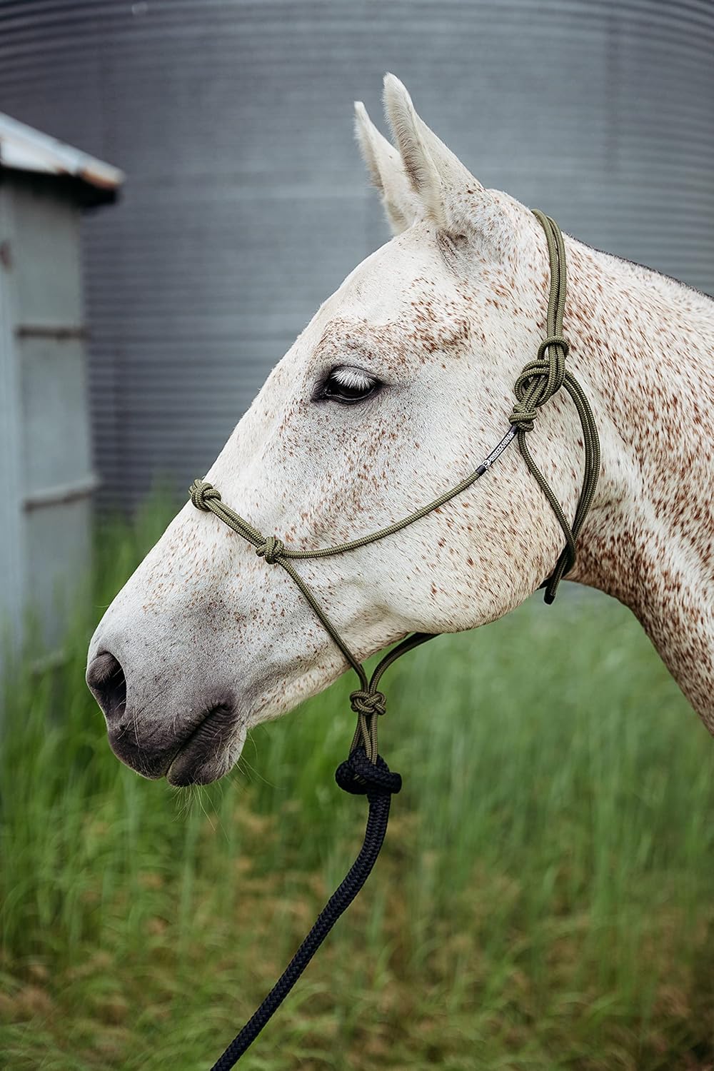 14FT Lead Rope with NP Snap