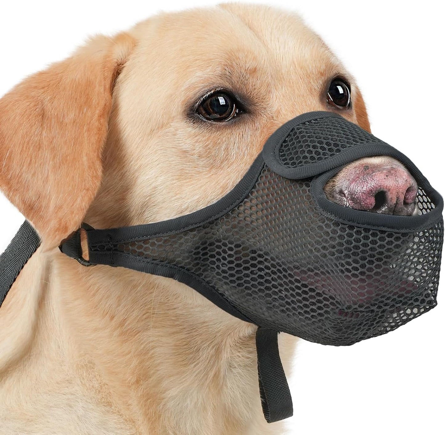 LUCKYPAW Dog Muzzle for Large Medium Small Dogs, Patented Mesh Muzzle to Prevent Biting Chewing Eating, Soft Mouth Guard with Front Opening Design for Drinking Panting(Black, XL)