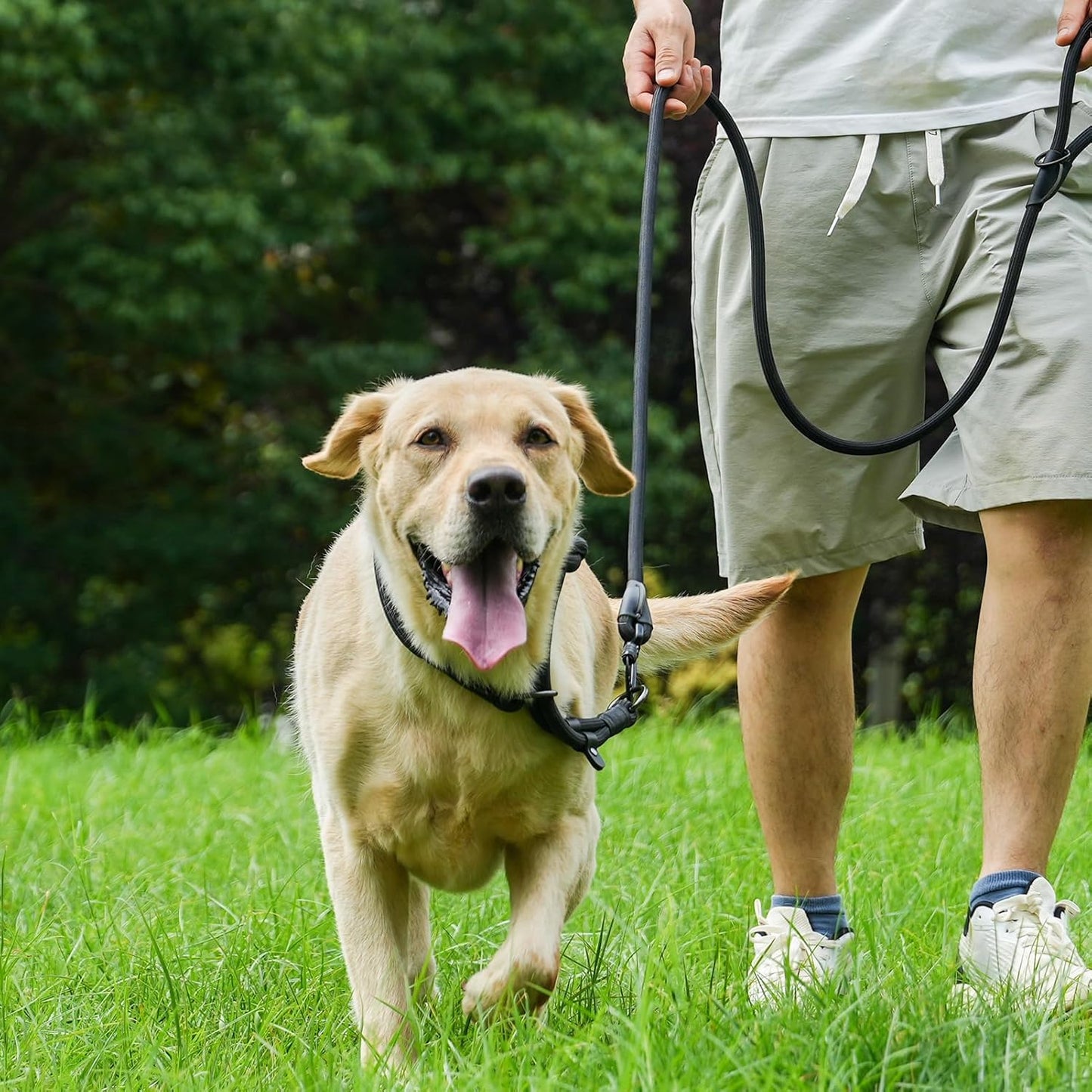 Rope Dog Leash, 4 ft Heavy Duty Dog Leash with Aviation Aluminum Auto Locking Carabiner, Strong Nylon Pet Lead for Small, Medium, Large Dogs (Black, 4FT)