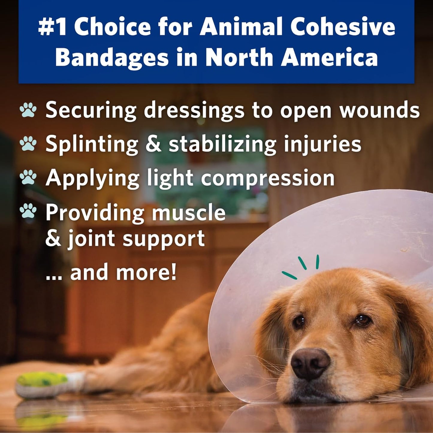 PetFlex Pet Pack – Flexible Self-Adhering Elastic Bandage for Wound Care – First Aid Wrap for Small Animals Like Dogs, Cats, and Other Pets - 2 inch, 6 Rolls