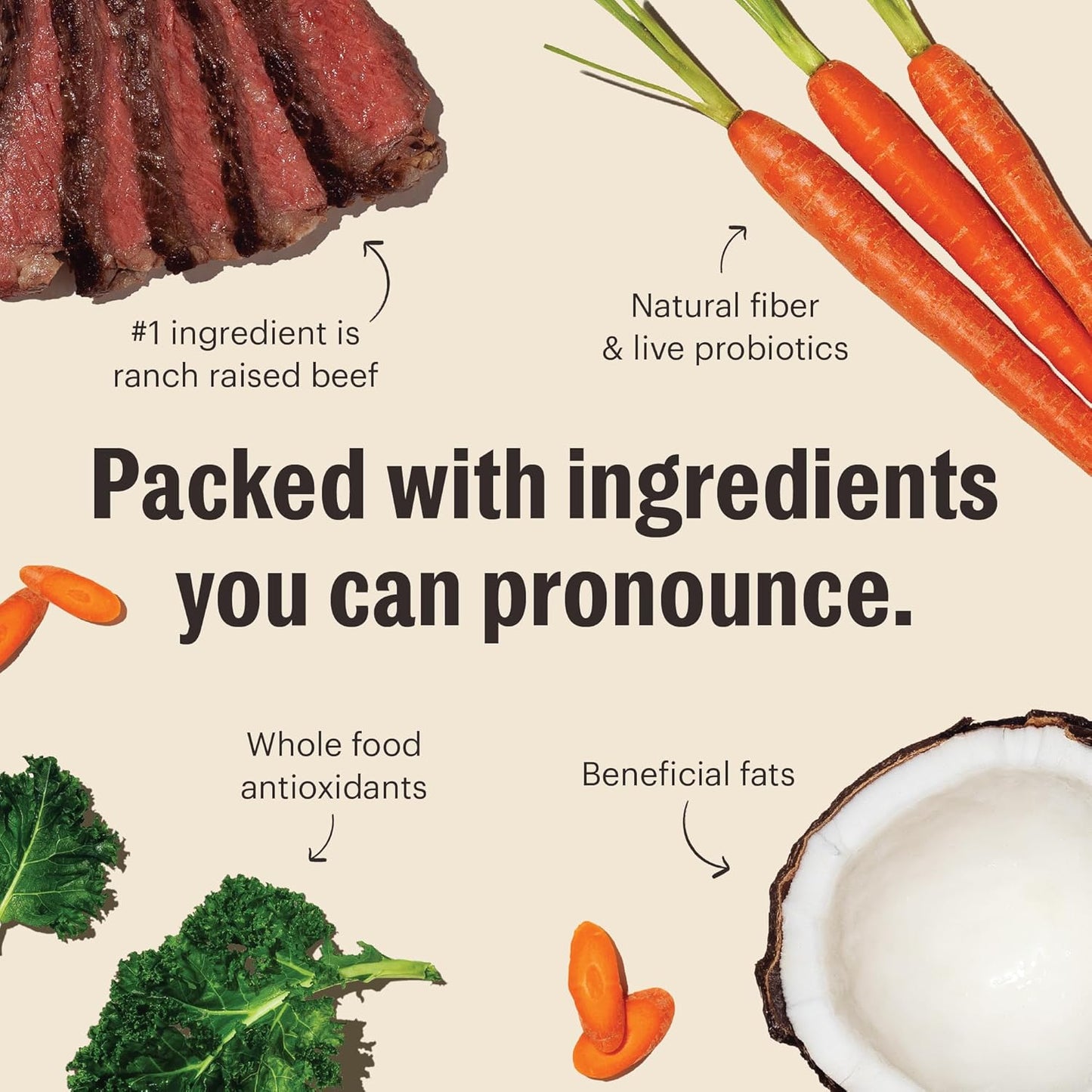 The Honest Kitchen Whole Food Clusters Grain Free Beef Dry Dog Food, 1 lb