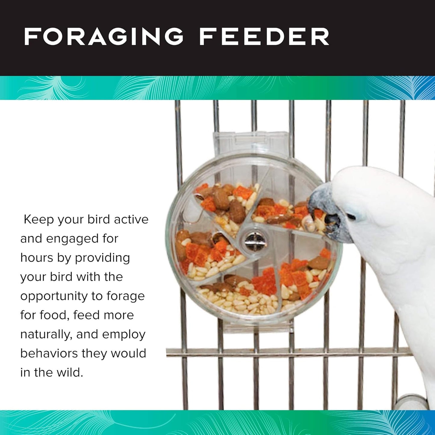 Paradise Toys Bird Creative Foraging System Wheel, Spins with Food Inside, 6” Diameter