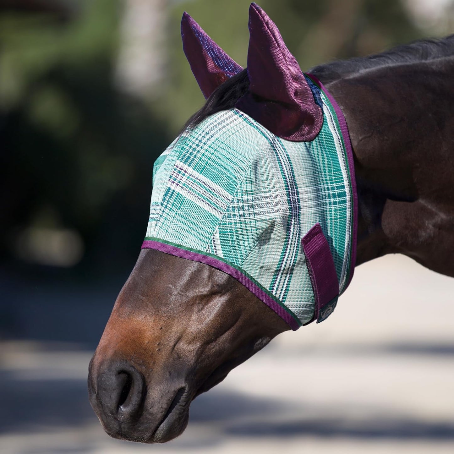 Kensington Signature Fly Mask w/Web Trim, Soft Mesh Ears & Forelock Opening Size: M-Small Horse Color: 2019 - Imperial Jade