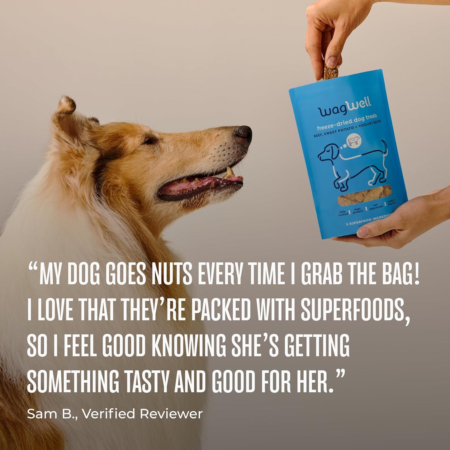 WagWell Freeze-Dried Treats - Beef, Sweet Potato, + Yogurt Recipe - Fully Cooked, High Protein Made in The USA - Minimally Processed & Vet Approved - Pack of 2