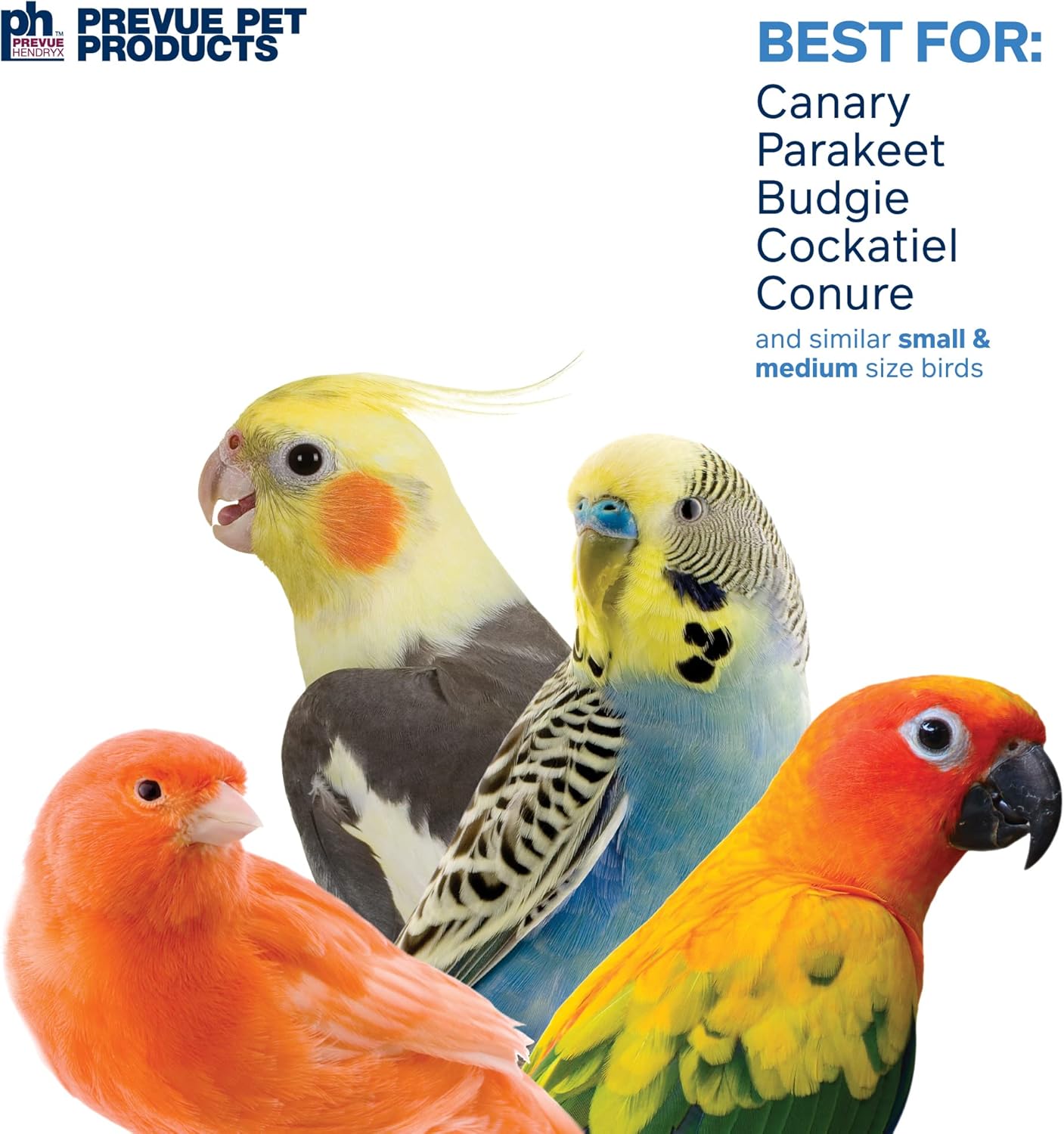 Prevue Hendryx Sound & Movement Birdie Basics Lantern Mirror Bird Toy 60420