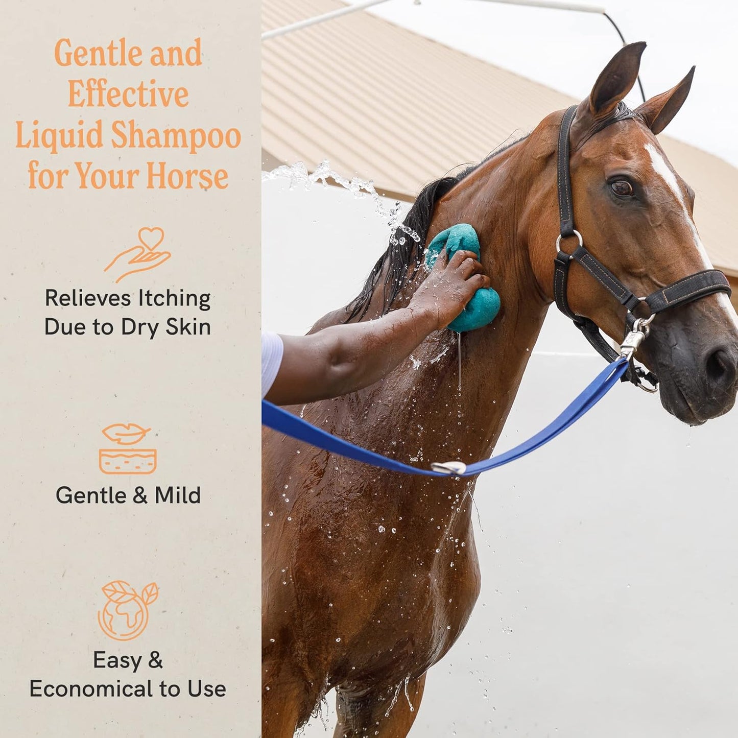 J·R·LIGGETT'S Botanical Horse Liquid Shampoo for Sensitive Skin | Hypoallergenic Biodegradable Shampoo Formula for Horses | 100% Eco-Friendly | Detergent-Free Horse Supply | 16.9fl.oz