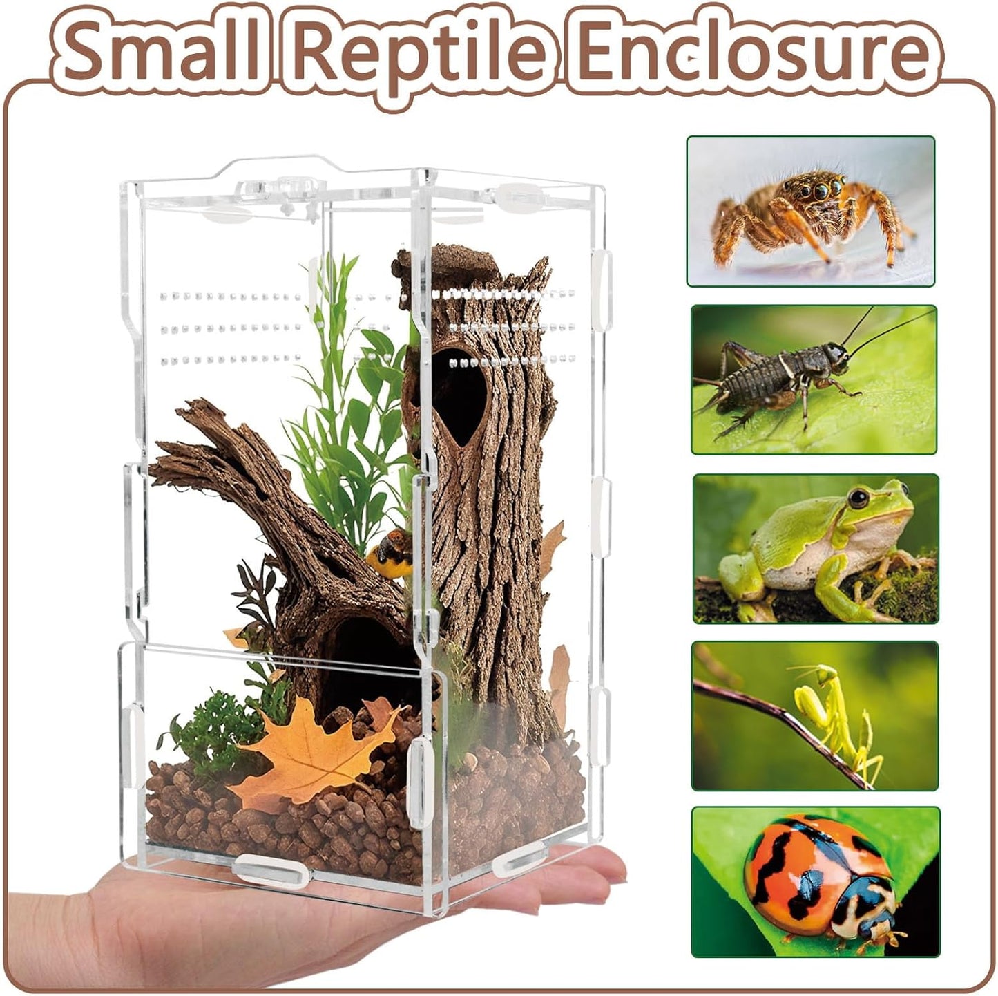 8x4x4in Vertical Acrylic Jumping Spider Enclosure – Arboreal Tarantula & Reptile Terrarium for Sling Lizards, Geckos, Snails