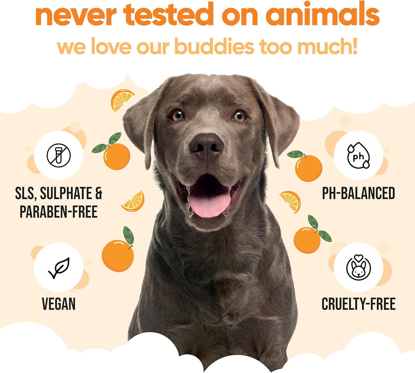 Orange Dog Shampoo & Conditioner by Buddycare (169.07oz)