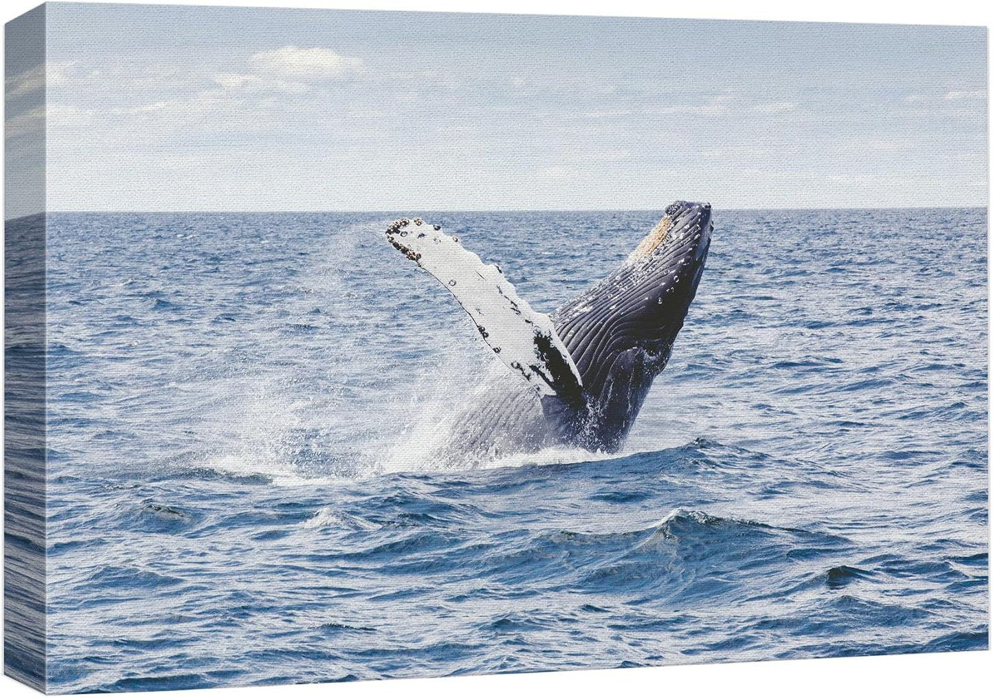 wall26 Canvas Print Wall Art Tropical Ocean Sea Water Horizon Blue Whale Nature Animals Photography Realism Rustic Scenic Landscape Wilderness Colorful for Living Room, Bedroom, Office - 32"x48"