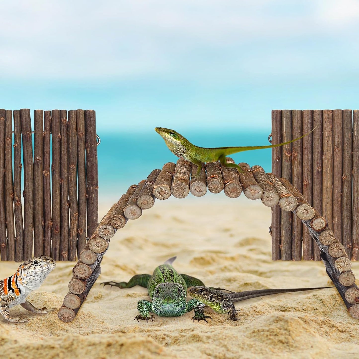 2PCS Reptile Hideout Hermit Crab Bendable Bridge, Wooden Hermit Crab Hideout Climbing Toys, Reptile Tank Habitat Decor Hiding Hut for Lizards, Mice, Spiders