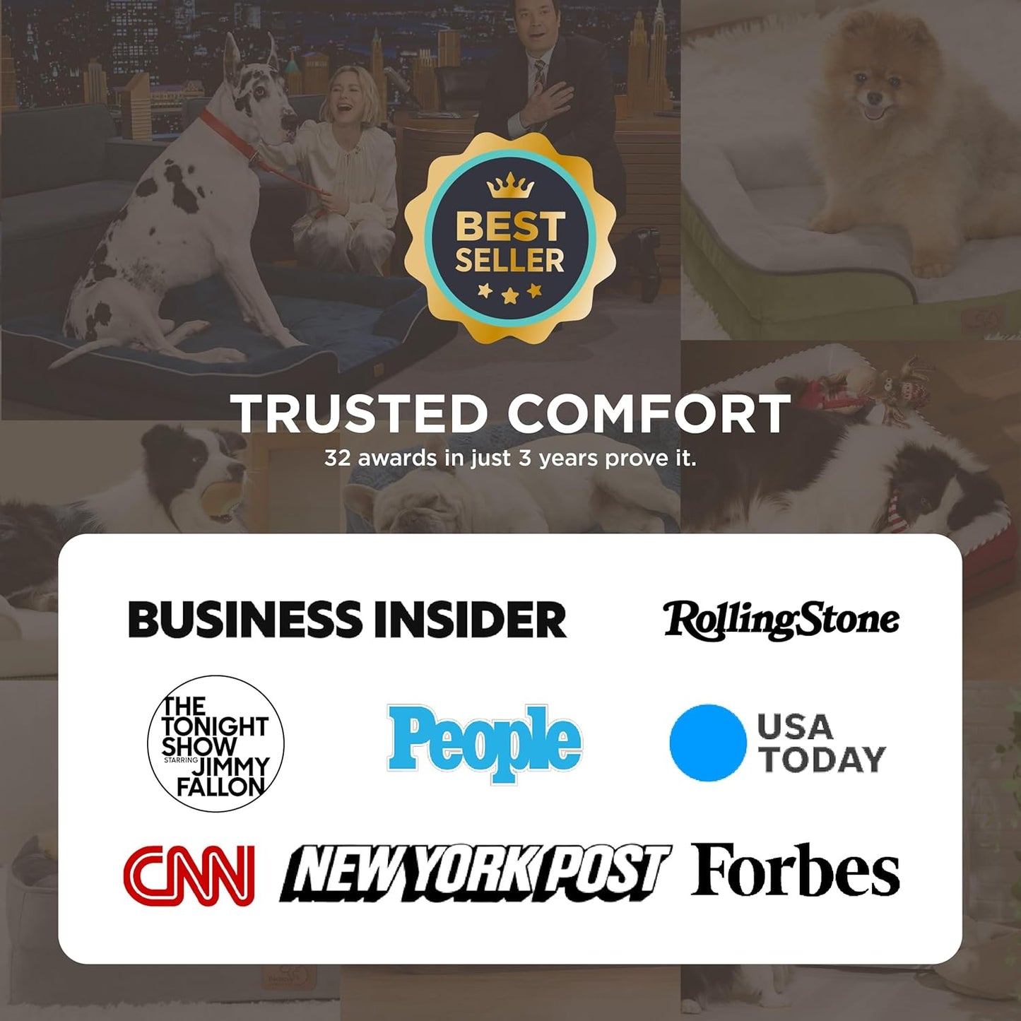 Bedsure Orthopedic Dog Beds for Small Dogs - Washable Small Dog Cat Bed Waterproof, Comfort Pet Couch Sofa with Washable Removable Cover, Pets Bed with Nonskid Bottom, Boreal Canopy Green, 24"