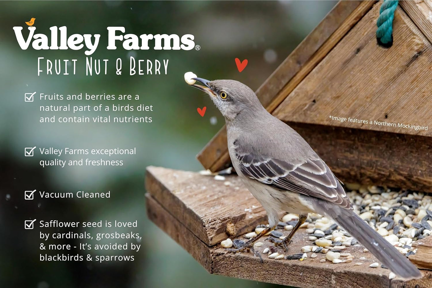 Valley Farms Fruit Nut & Berry 4 LB 2-Pack (8 LB Total) Wild Bird Food for Outside Feeders, Bird Seed with Dried Fruit, Peanuts Sunflower Hearts, Safflower High Energy Mix for Healthy Birds!