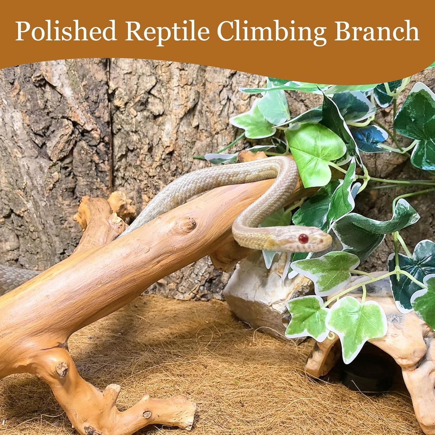kathson 2PCS Snake Climbing Branch,Reptile Wood Branches Decor, Lizard Natural Polished Wood Climb Accessories,Reptiles Habitat Tank Tree Trunk Decorations for Bearded Dragon Geckos Chameleons Frog