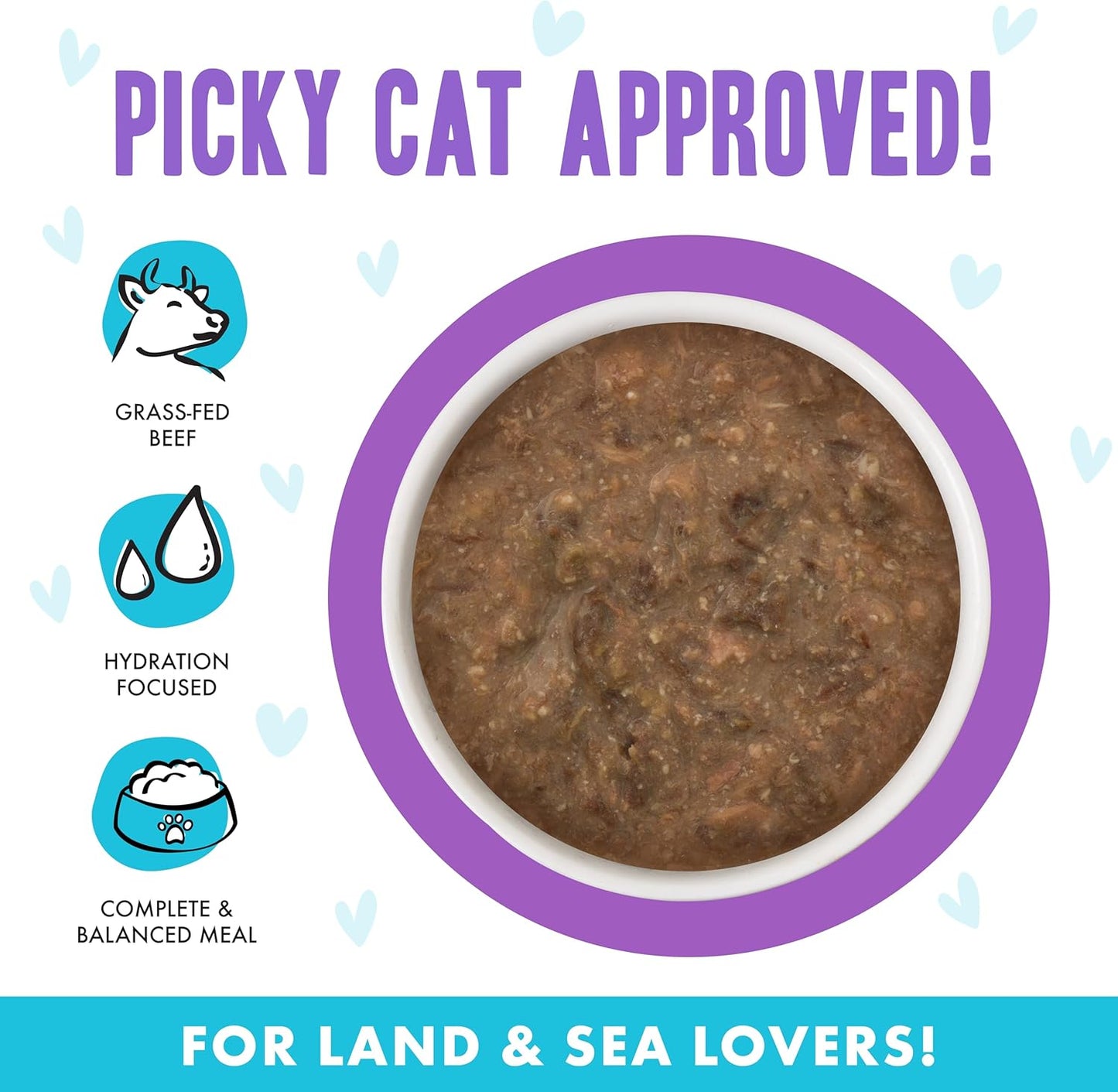 Weruva B.F.F. OMG - Best Feline Friend Oh My Gravy!, Best Day Eva! with Beef & Salmon in Gravy Cat Food, 2.8oz Can (Pack of 12)