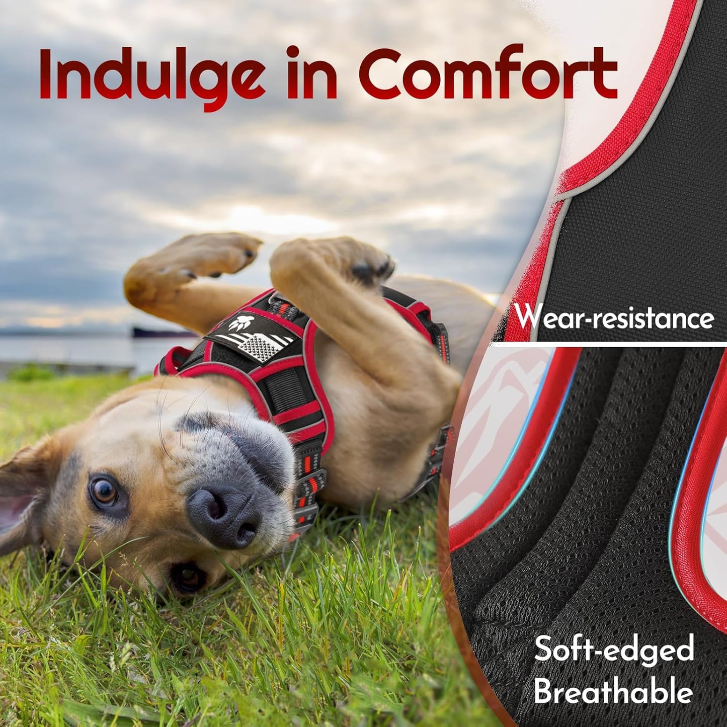 Eagloo Dog Harness Small Sized, Easy Wearing with 3 Buckles, Adjustable No Pull Pet Harness with 2 Rings for Walking, No Chock Reflective Soft Padded Vest with Control Handle, Black & Red, S