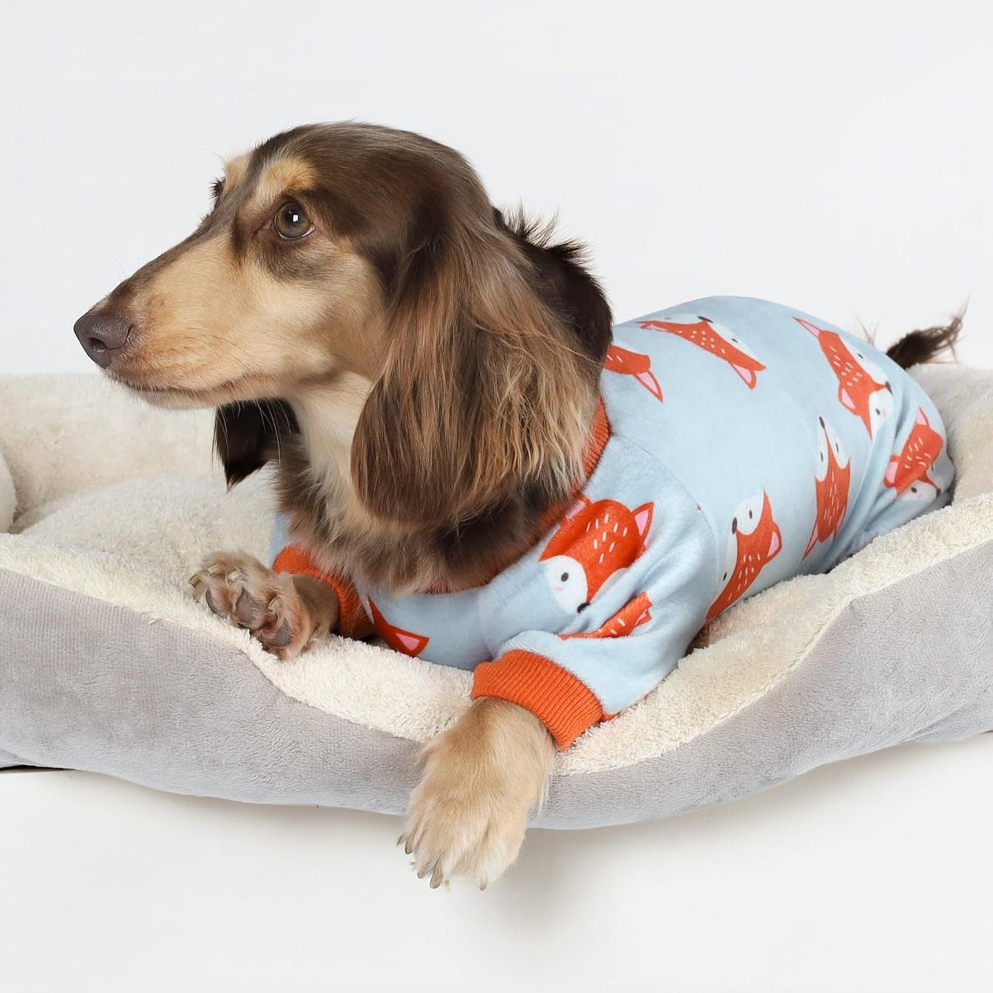 Fitwarm Funny Fox Dog Pajamas, Warm Dog Onesie, Dog Clothes for Small Dogs Girl Boy, Lightweight Velvet, Pet Outfit, Gray, Orange, Small