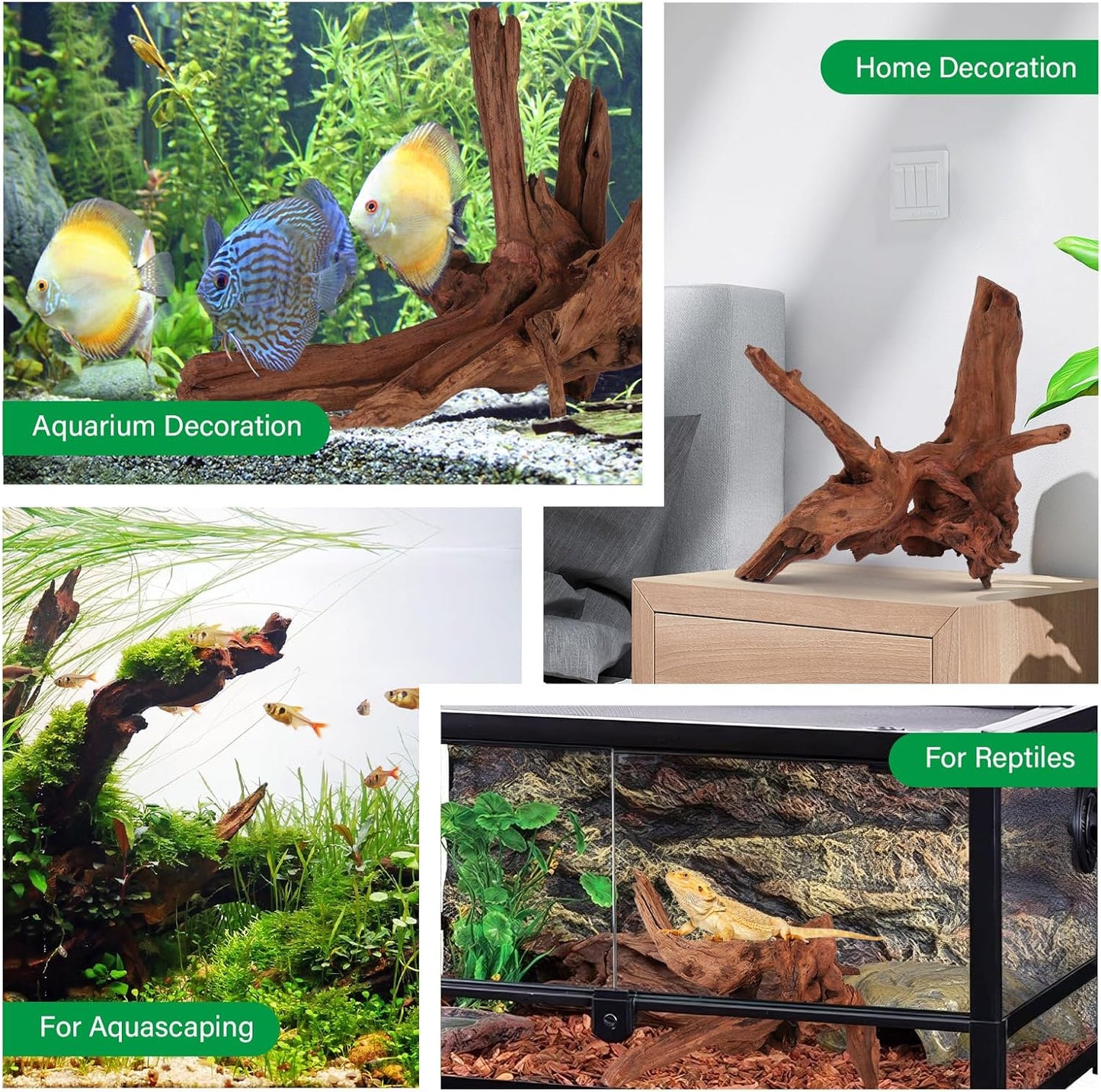 Driftwood for Aquarium Natural Aquarium Wood for Aquascaping Fish Tank Decorations Reptile Tank Decor (Natural Driftwood 9-14" (Pack of 2))