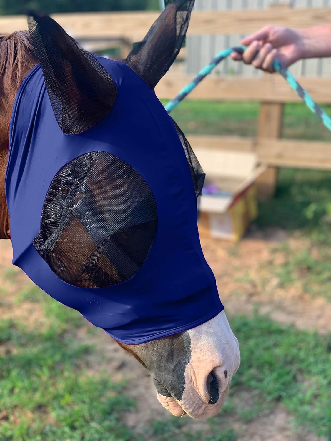 Horse Fly Mask - Arab Equine Fly Mask with Full Coverage for Eye & Ear - Stretchable, UV & Sun Protection Flymask for Horses, Ponies & Mini Horses - Horse Face Cover for Pasture & Trail - Navy