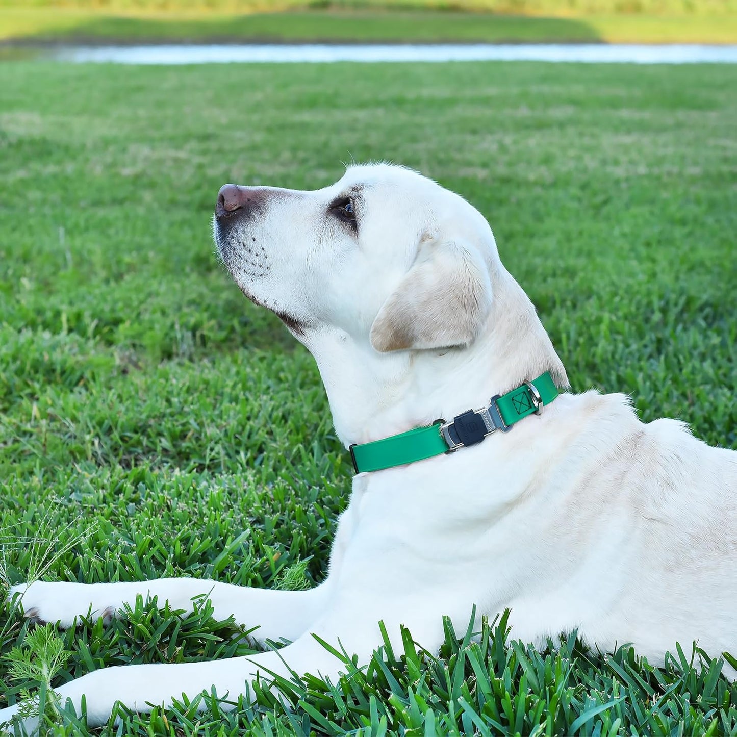 Dogline Biothane Waterproof Dog Collar with Herm Sprenger Black Stainless Steel Quick Release Buckle – Heavy Duty Tactical Durable Collar for Dogs – Comfortable and Safe Pet Collar W 1" L 15-25" Teal