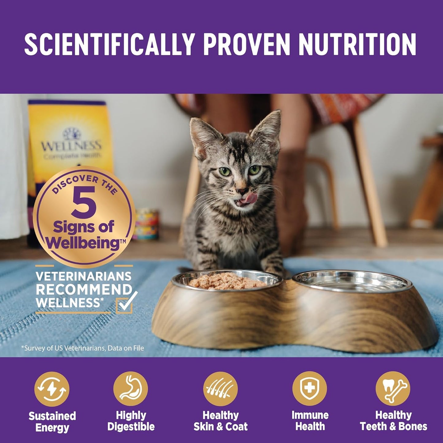 Wellness Complete Health Minced Adult Wet Cat Food, Natural, Protein-Rich, Grain Free, 3 Ounce, 24 Pack, (Turkey Entrée)