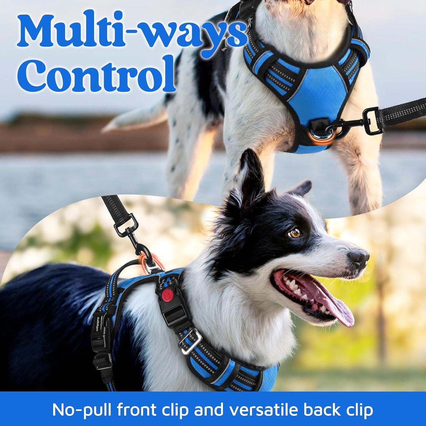 rabbitgoo Dog Harness for Large Dogs, No Pull Pet Vest with 3 Buckles, Adjustable Soft Padded Pet Harness with Easy Control Handle and Reflective Strips, Blue, L